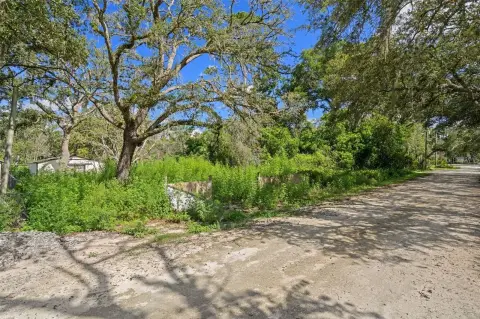 Picture of Land at Taffeta St 3241, Dade City, FL