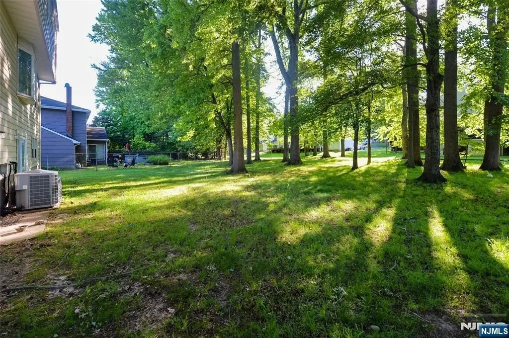 Picture 16
