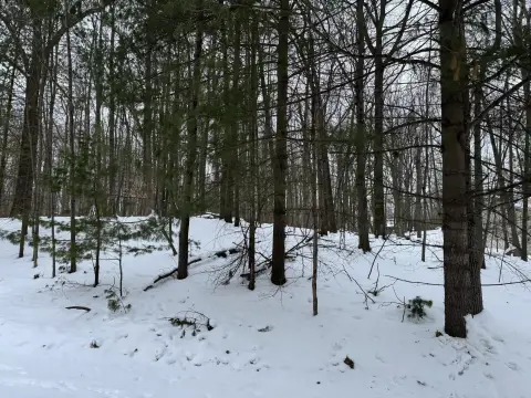 Residential Lot Near Finger Lake