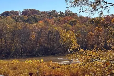 Wooded Lot with Water Frontage