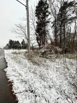 Commercial Land in St. Joseph