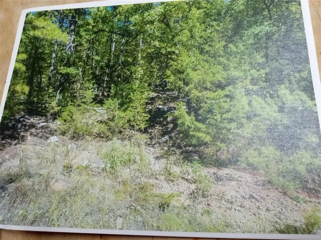 Picture 4