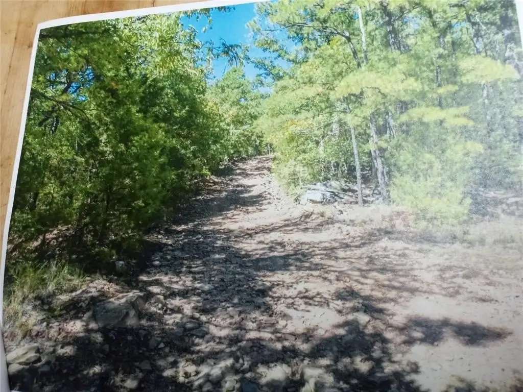 Picture 5