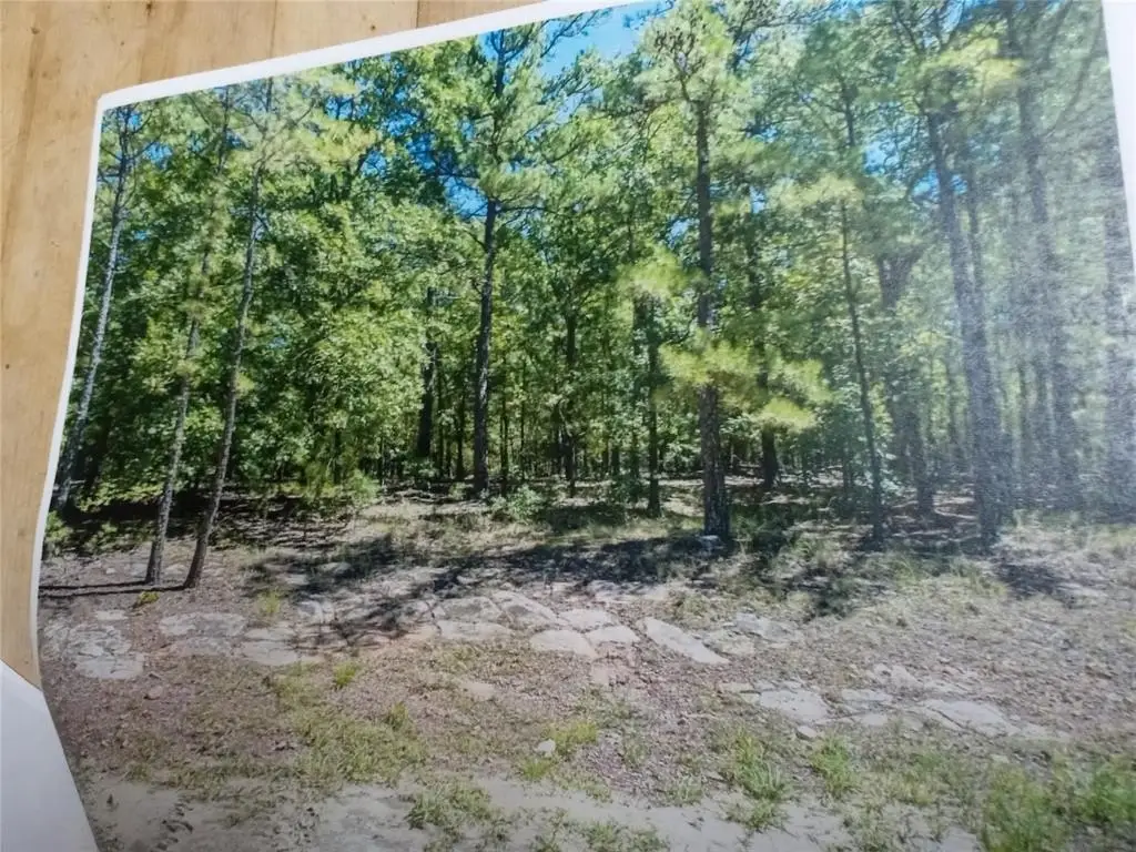 Picture 9