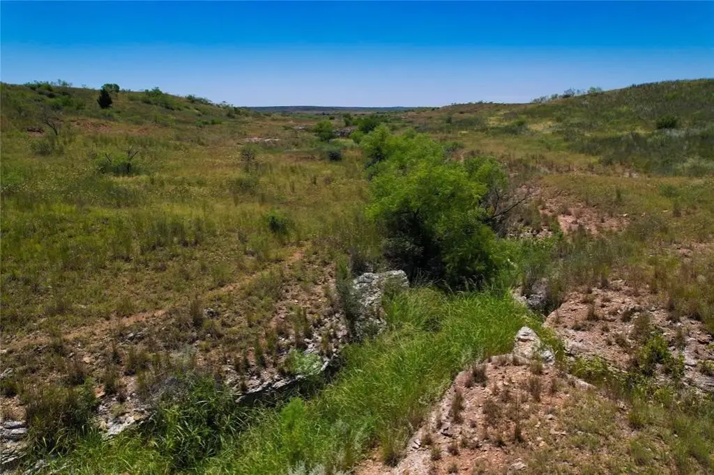 Picture 28