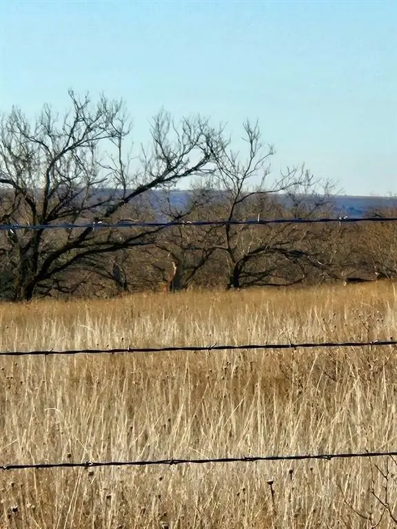 Picture 42