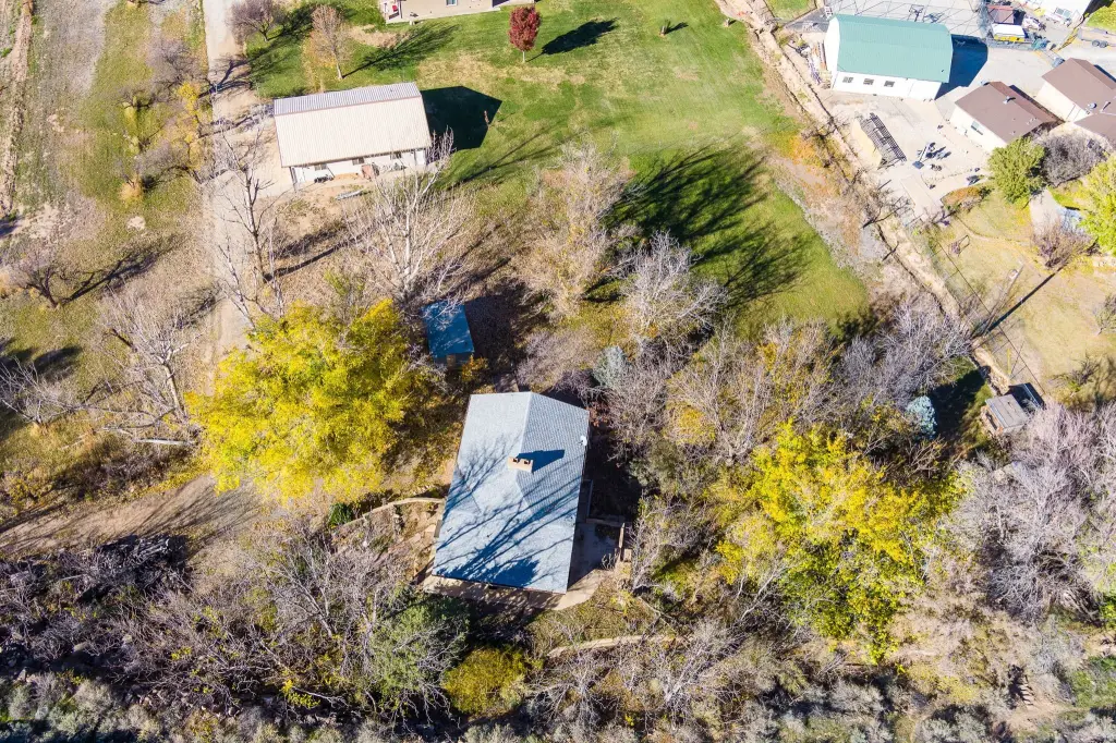 Picture 52