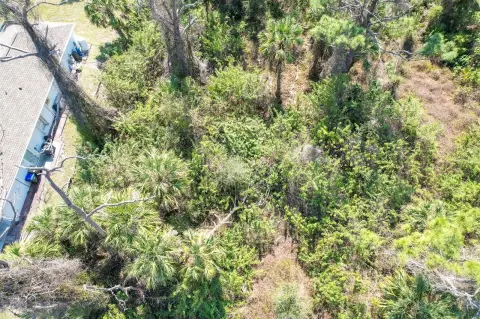 Residential Lot in North Port