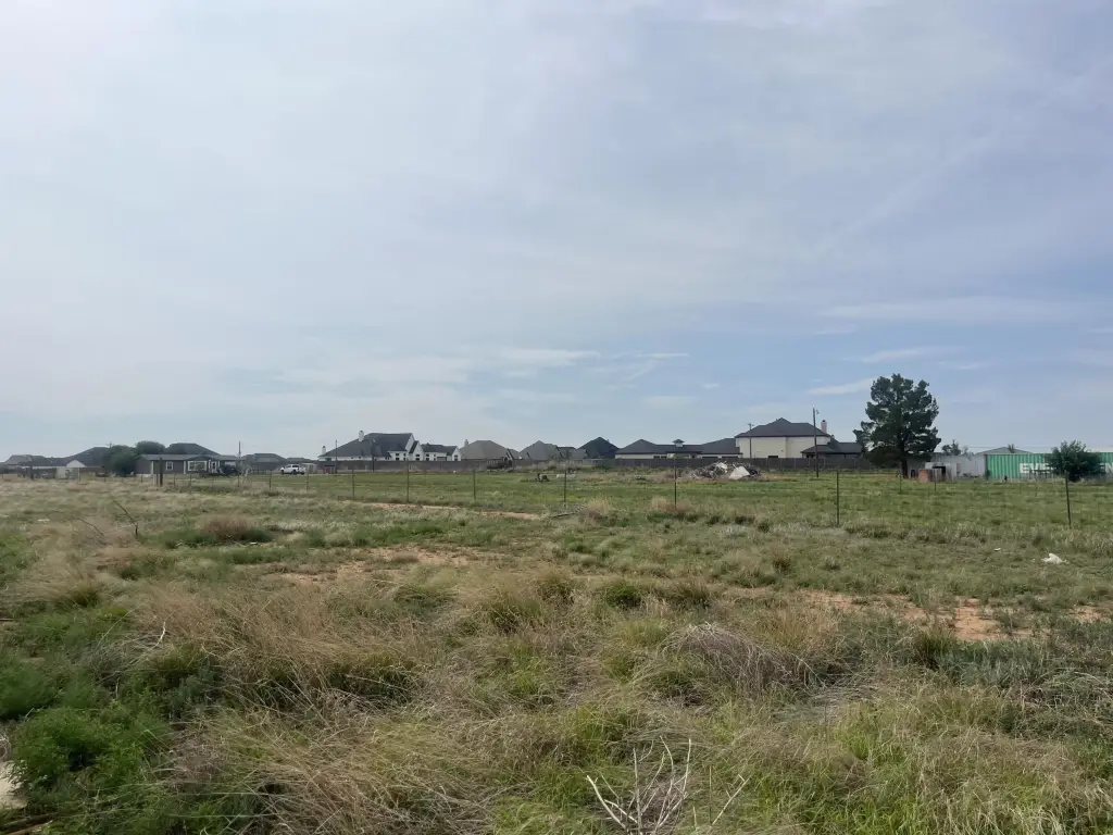 Picture 16