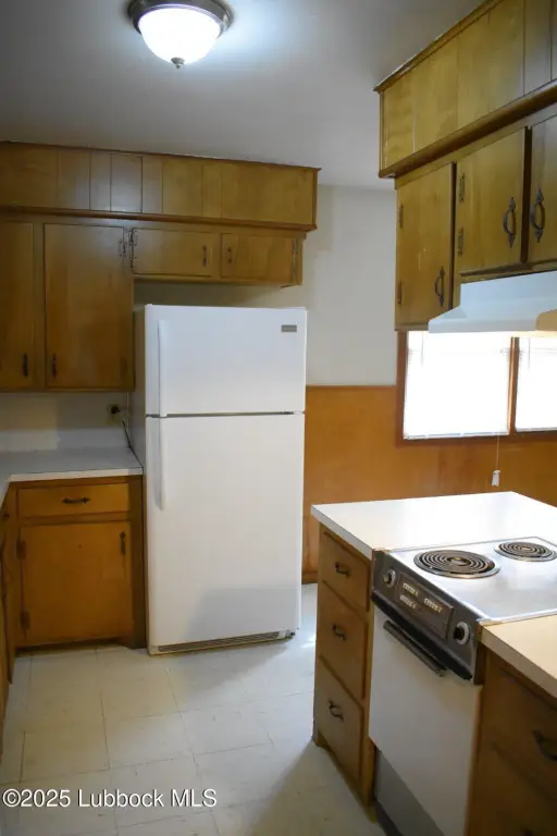 Picture 8