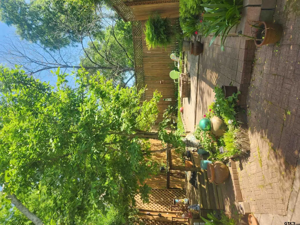 Picture 21