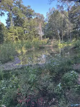 Land Near Terrapin Creek