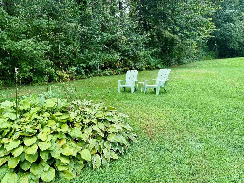 Picture 48