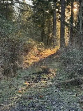 Land with River and City Views
