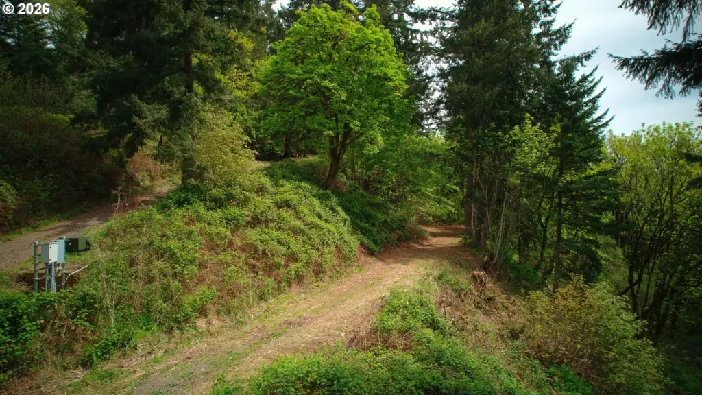 Picture 10