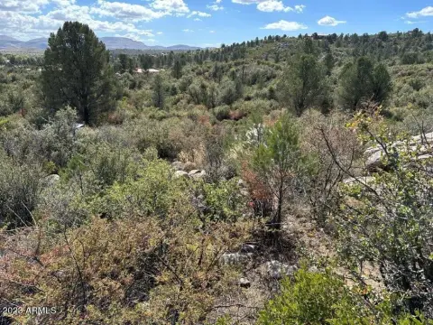 Treed Land with Boulder Outcroppings