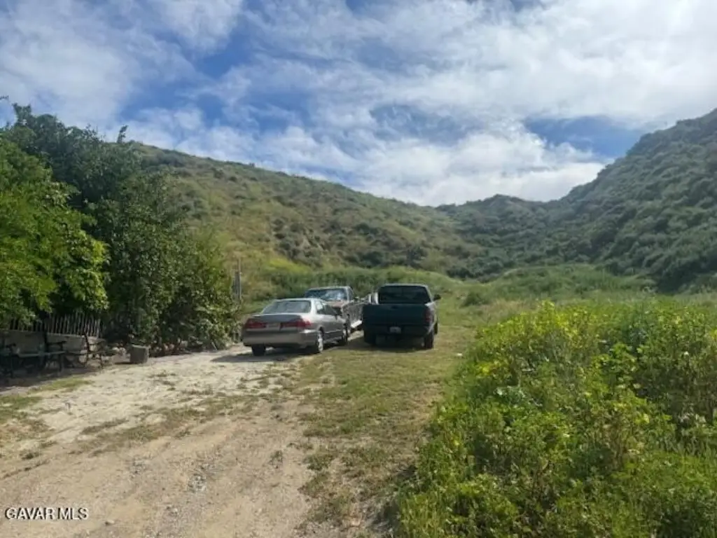 Picture 14