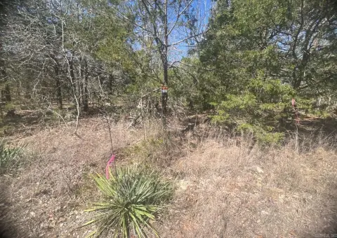 Residential Lot with Lake View