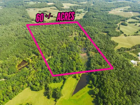 60 Acres Hunting/Retreat Property