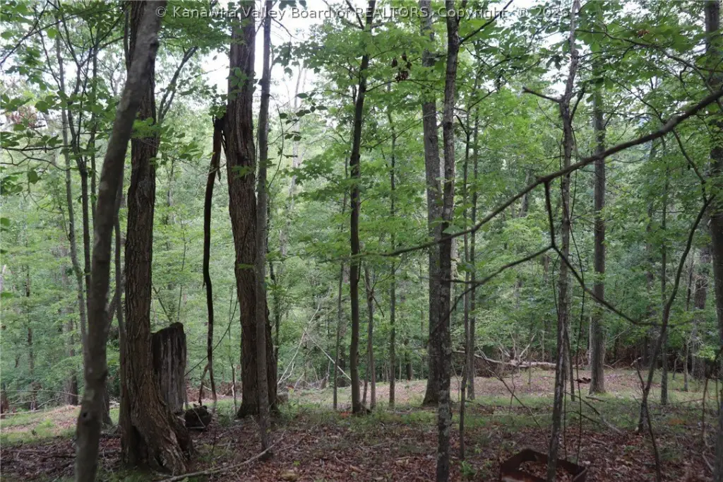 Picture 39