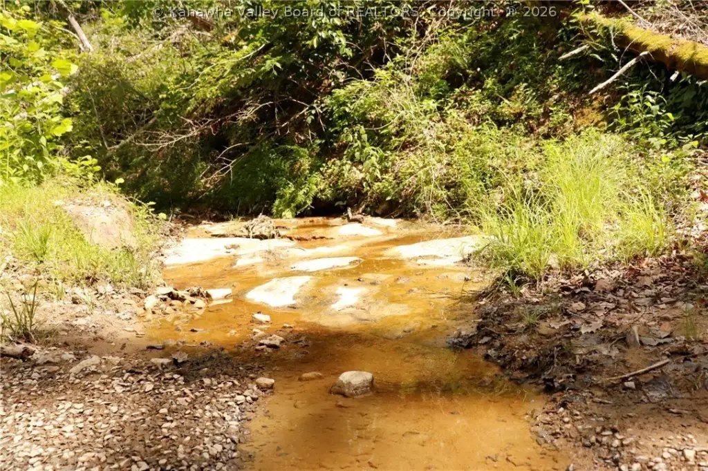 Picture 18