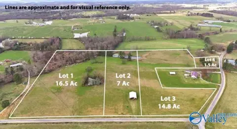 39 Acres Cleared Land
