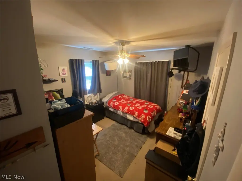 Picture 8