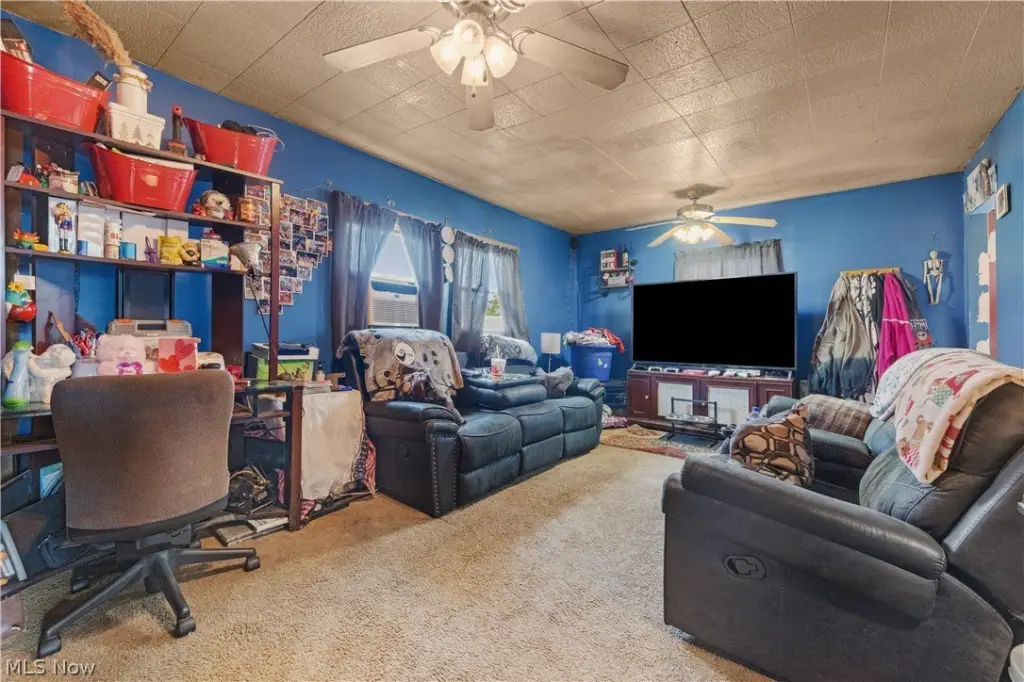 Picture 6
