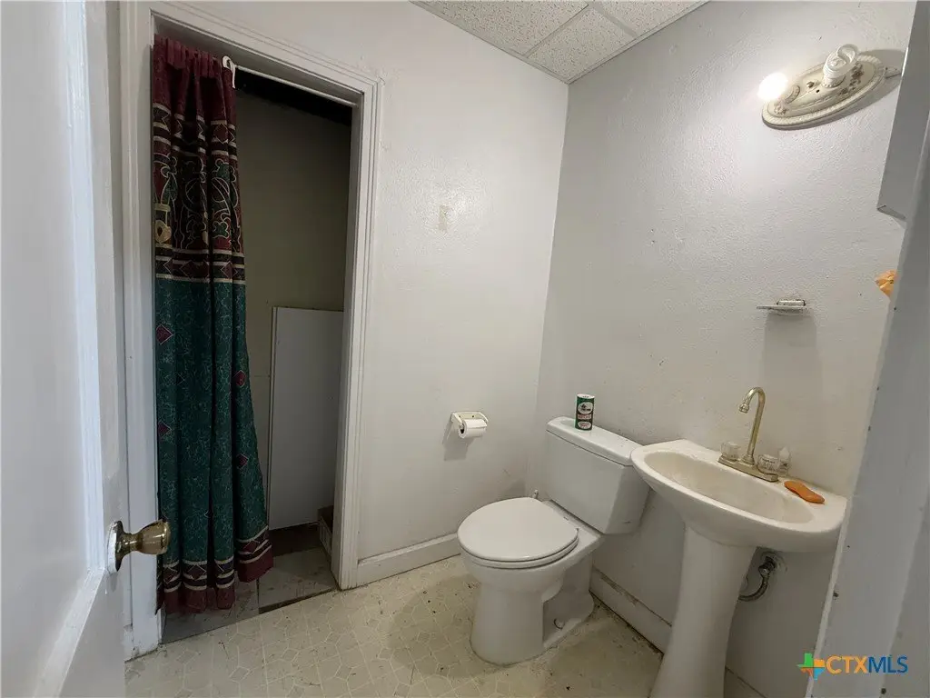 Picture 8