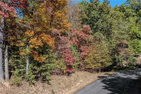 Picture of Land at Meadow Brook Trl 22, Morganton, GA