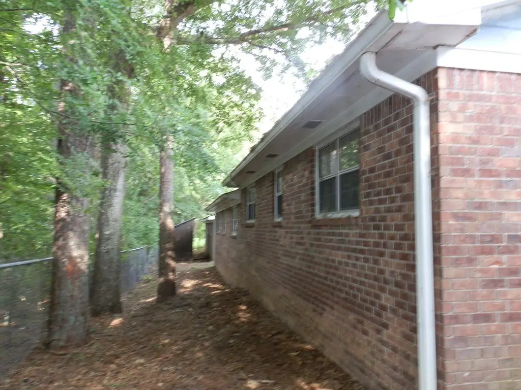 Picture 24