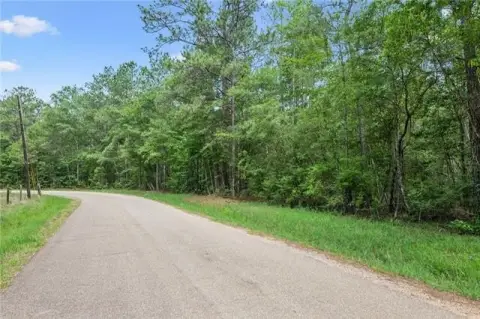 Land Parcel in Folsom, LA