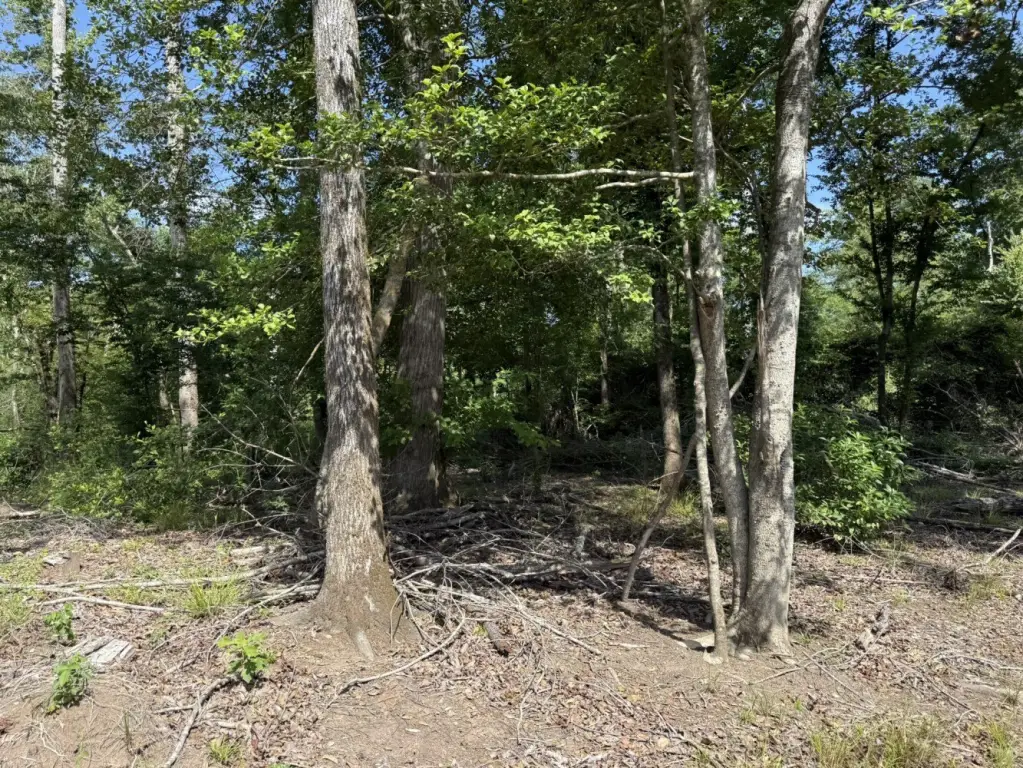 Picture 9