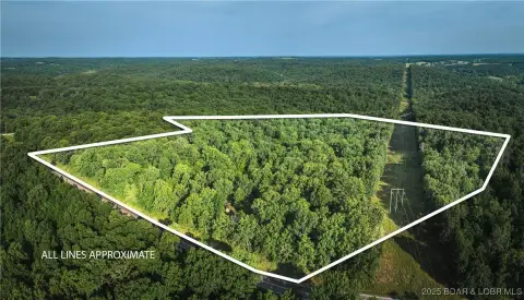 29.5 Acres of Timbered Land