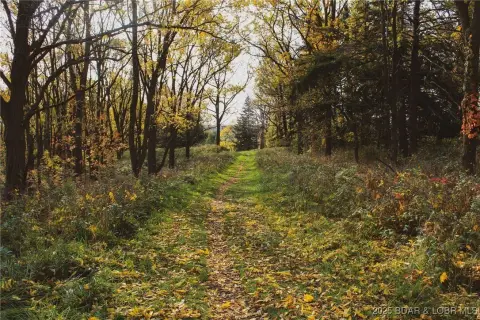 Wooded Land in Gated Community