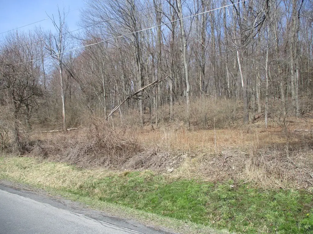Picture 2