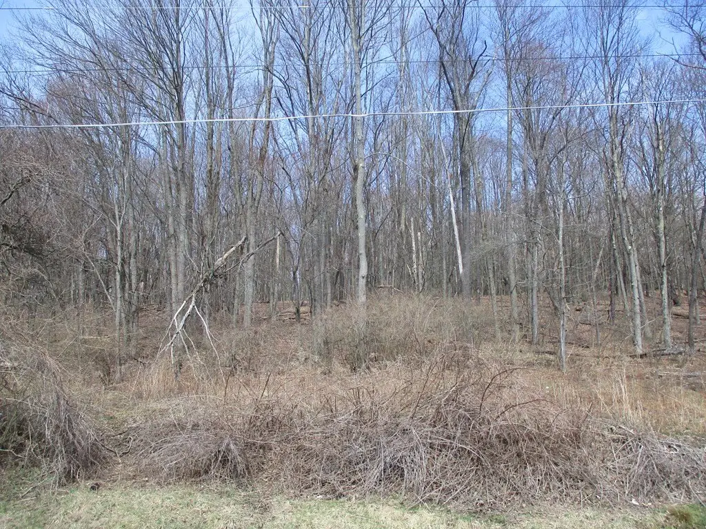 Picture 4