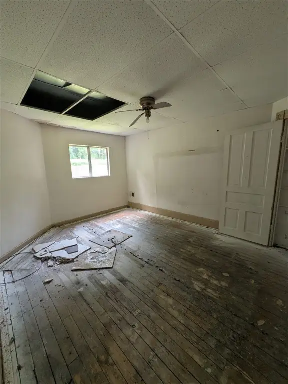 Picture 3