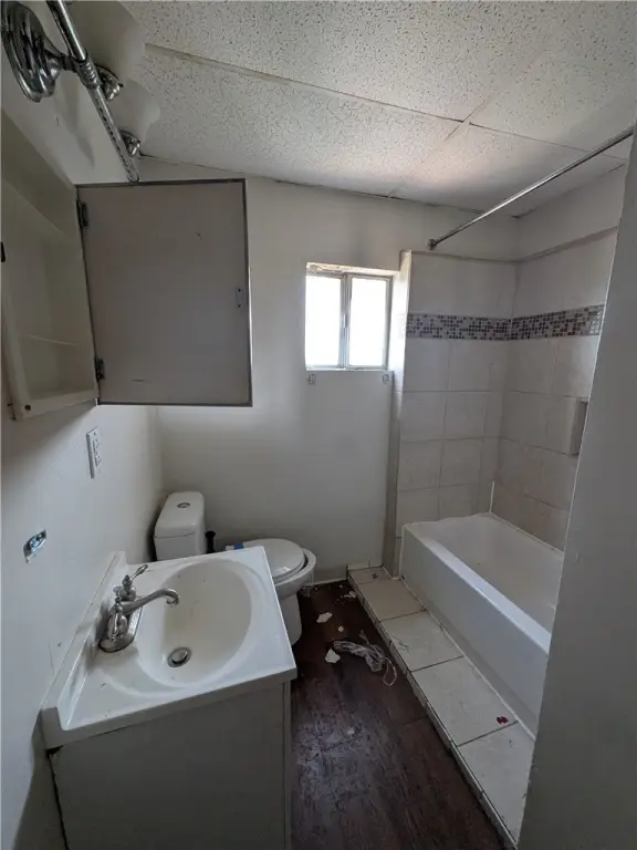 Picture 14