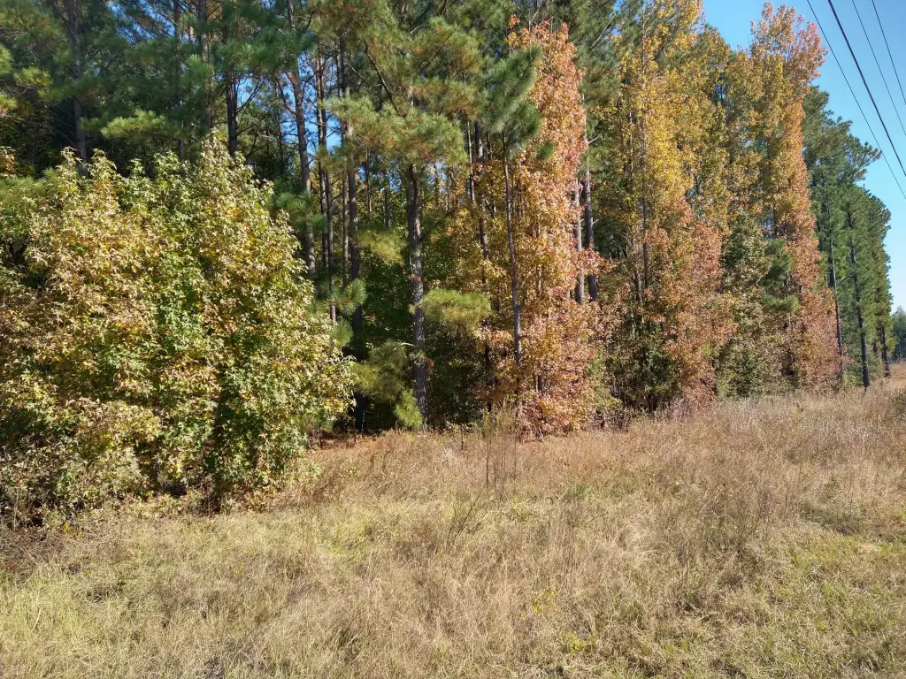 Picture 5