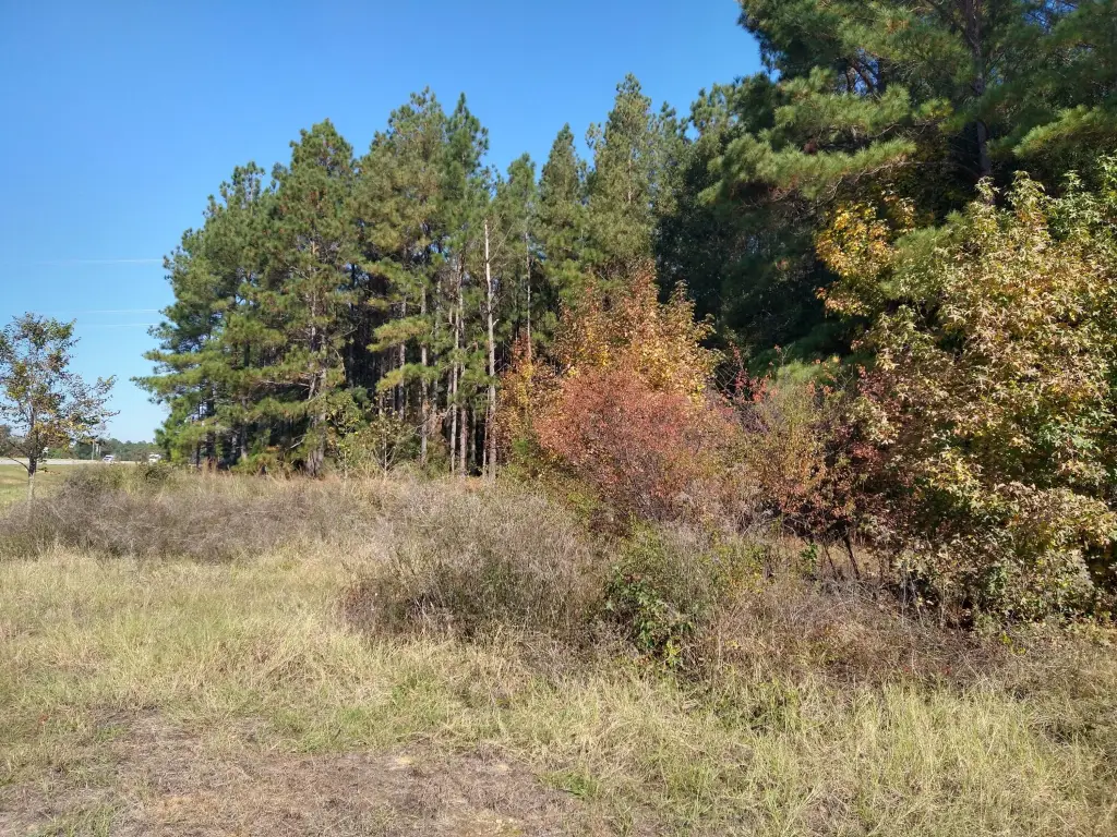 Picture 4