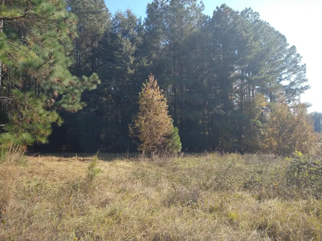 Picture 3