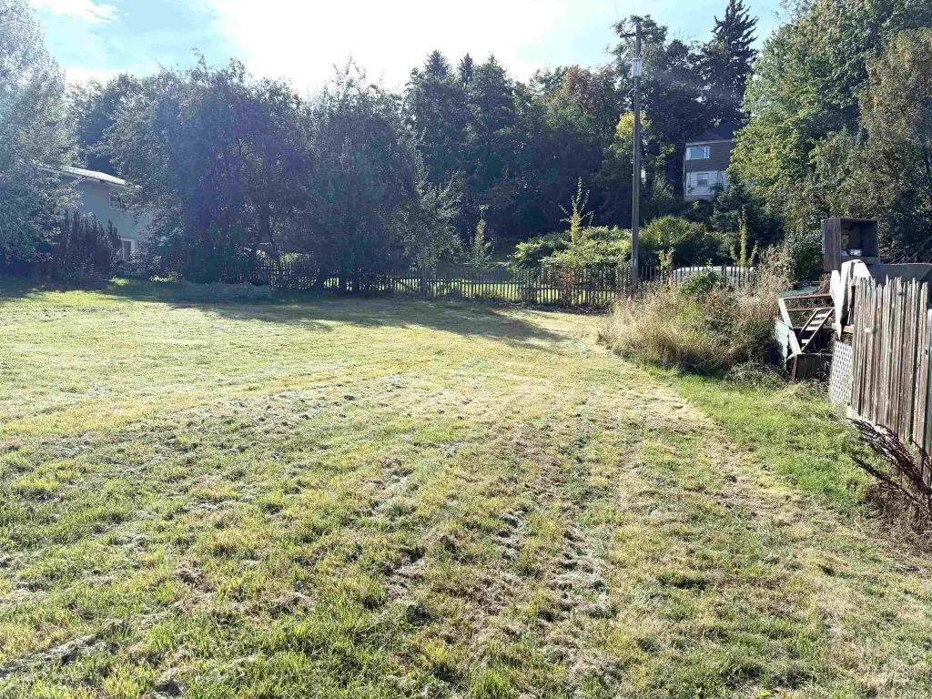 Picture 19