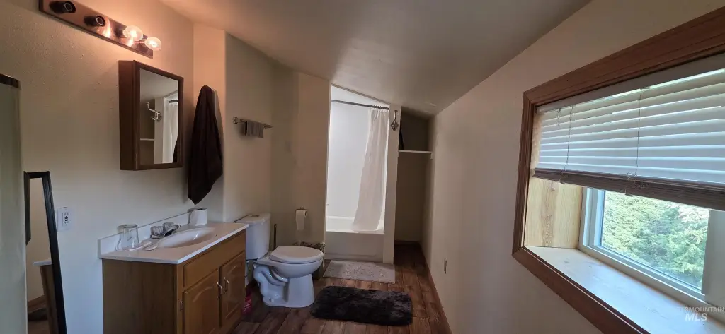 Picture 16