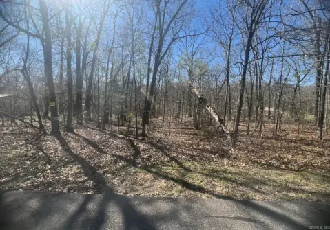 Residential Lot Near Crown Lake