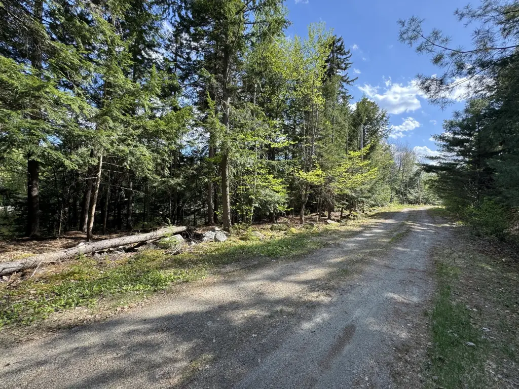 Picture 23