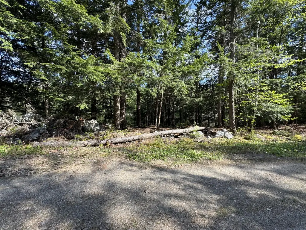Picture 24