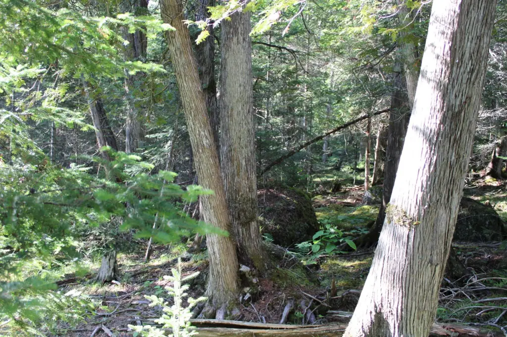 Picture 16
