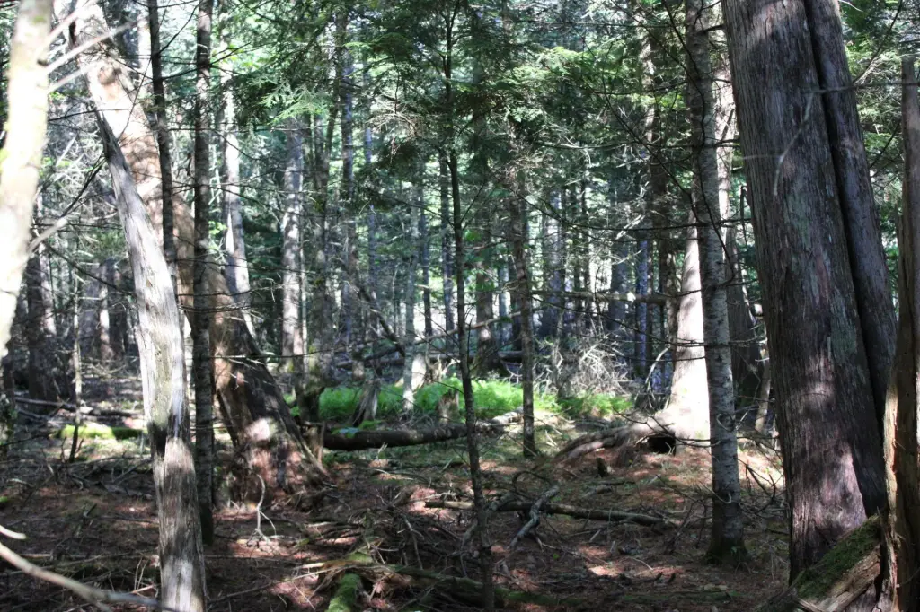 Picture 4