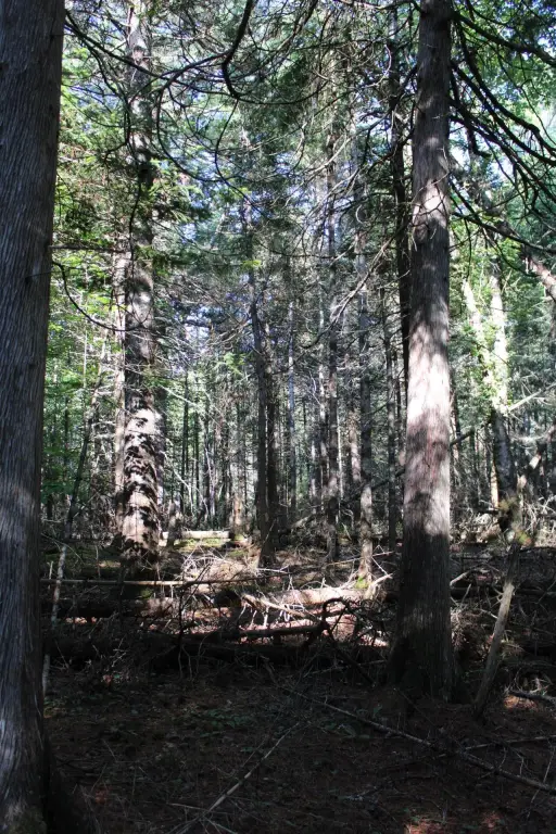 Picture 7